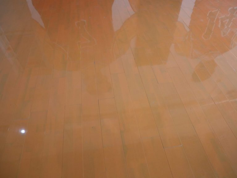 شجرة مطاطية للكرة الطائرة LVL أرضيات خشبية محمولة