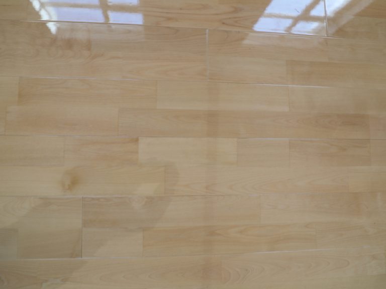 أفضل العروض على أرضيات خشب البتولا الراقص واحصل على عروض رائعة.